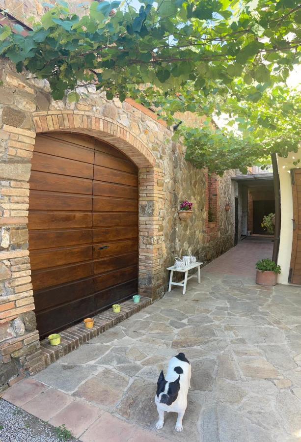 Depandance Sophia Apartamento Montalcino Exterior foto